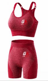 Seamless High Waisted Biker Shorts Stretch Sports Bra Yoga